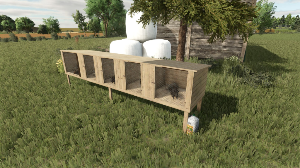 image-441-1024x576 Rabbits