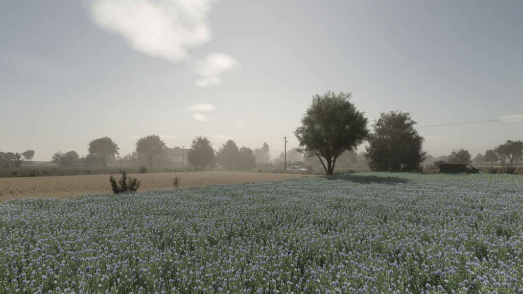 image-1006-1024x576 Żbiki