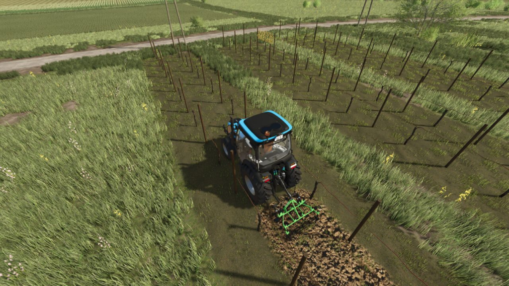 image-1058-1024x576 Narrow Vines And Olives (2 And 2.50)