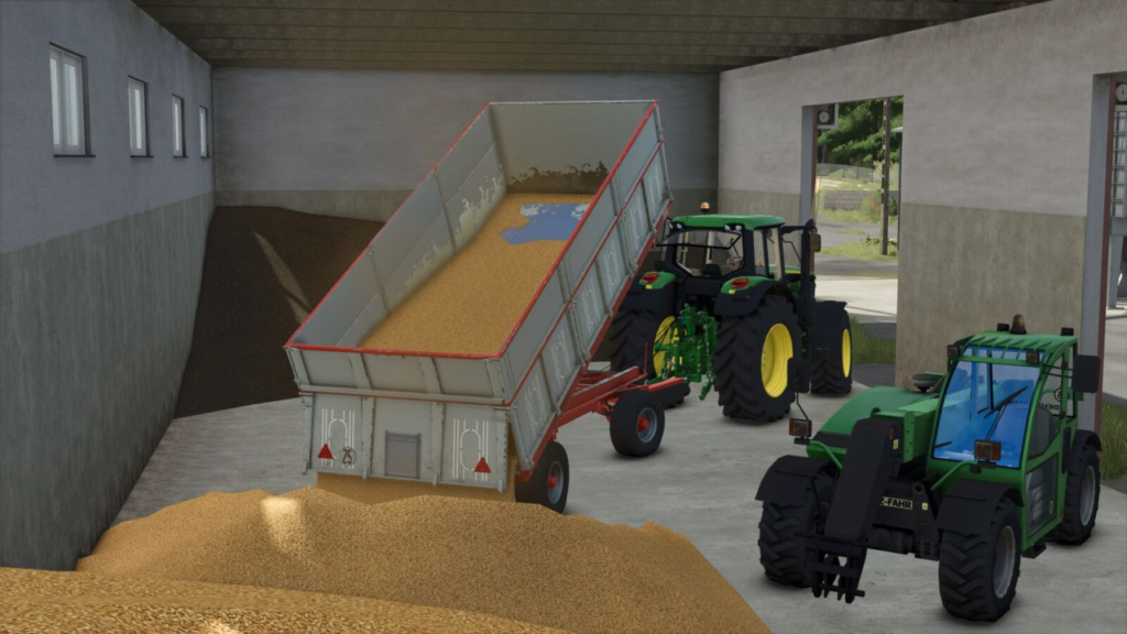 image-666-1024x576 Lizard Q13