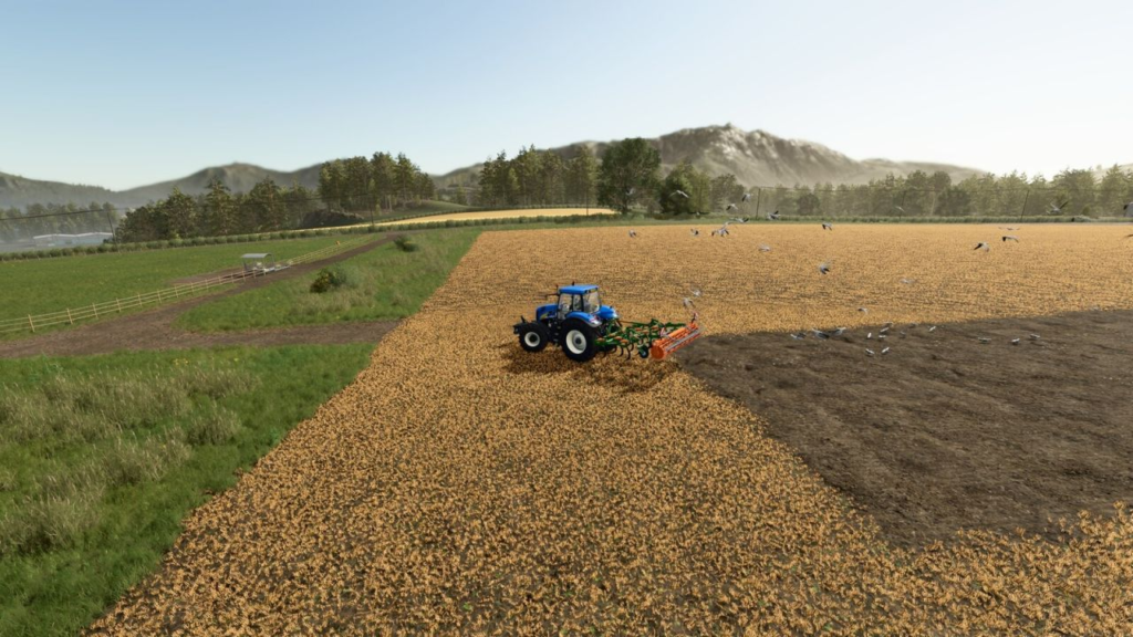 image-835-1024x576 Field Gulls