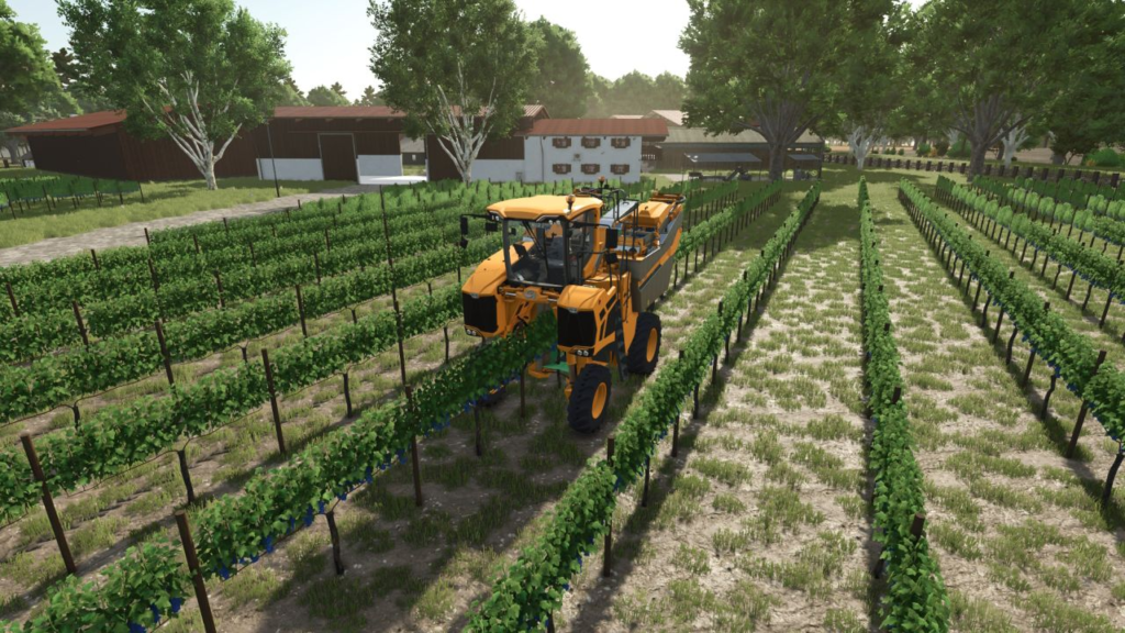 image-893-1024x576 Tools for grapes and olives