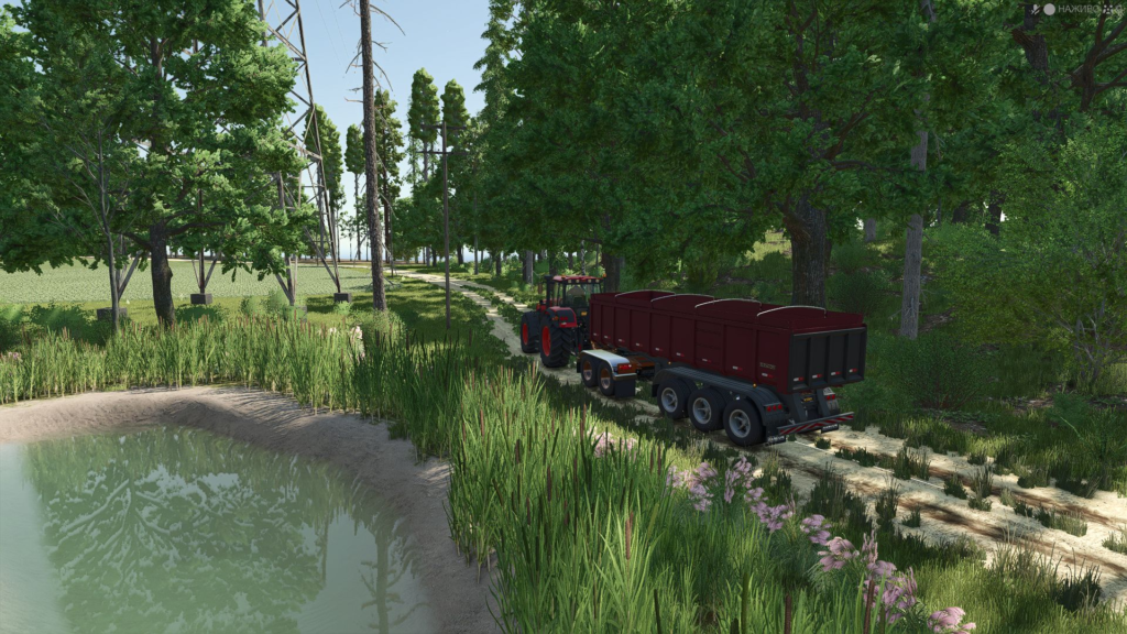 image-916-1024x576 Surroundings