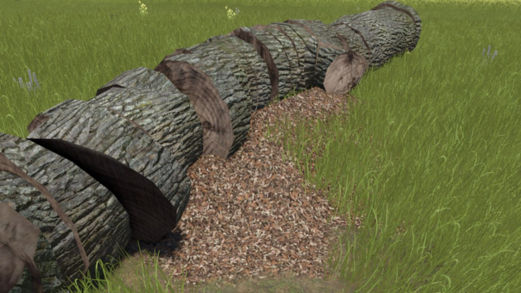 image-392-1024x576 Sawdust Only