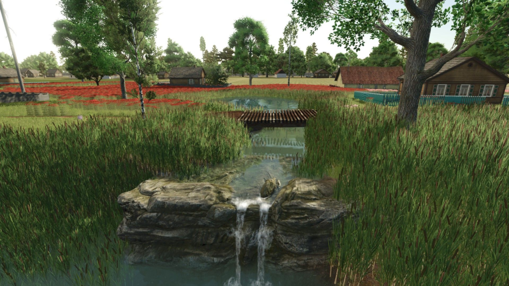 image-62-1024x576 Taromske