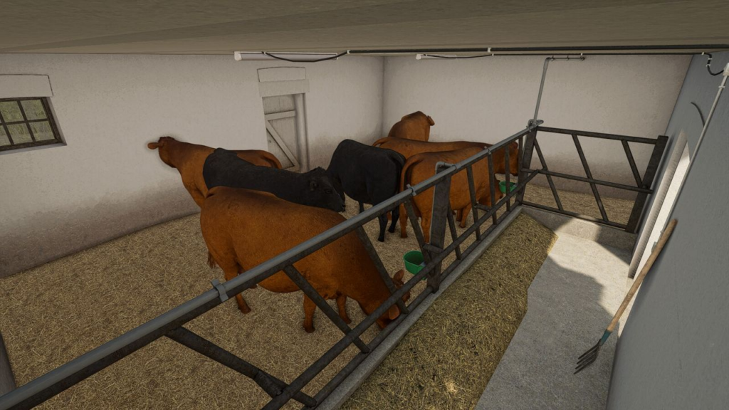 image-694-1024x576 Cow Barn